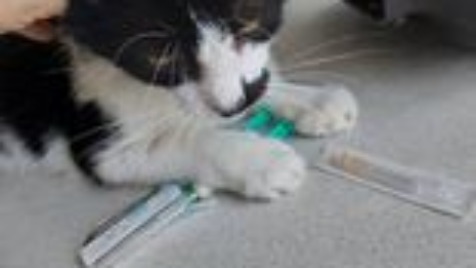 Zdjęcie aktualizacji 106 266