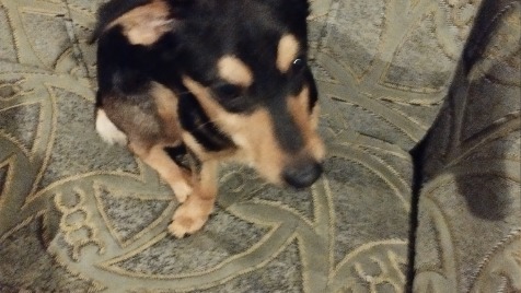 Zdjęcie aktualizacji 106 481