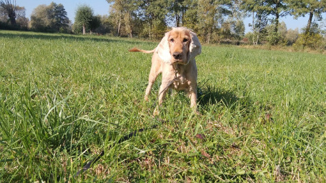 Zdjęcie aktualizacji 106 613