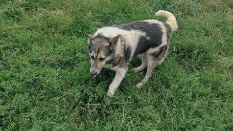 Zdjęcie aktualizacji 106 617