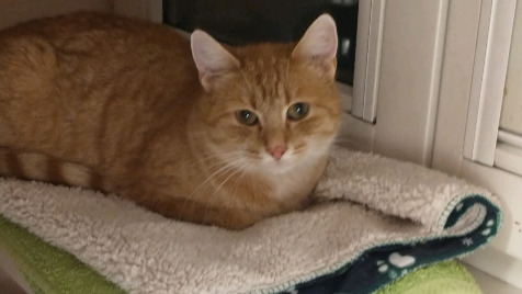 Zdjęcie aktualizacji 106 768