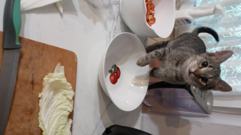 Zdjęcie aktualizacji 106 937