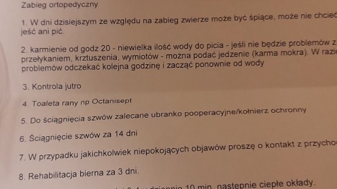 Zdjęcie aktualizacji 107 001