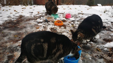 Zdjęcie aktualizacji 107 247