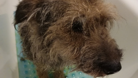 Zdjęcie aktualizacji 107 252