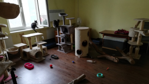 Zdjęcie aktualizacji 107 257