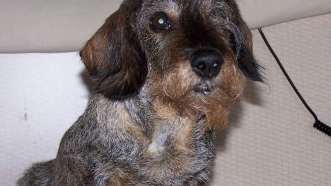 Zdjęcie aktualizacji 107 555