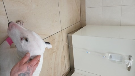 Zdjęcie aktualizacji 107 592