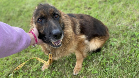 Zdjęcie aktualizacji 107 655