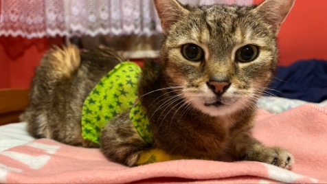 Zdjęcie aktualizacji 108 368