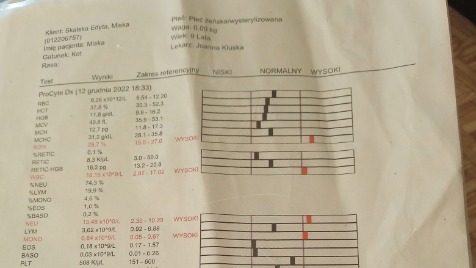 Zdjęcie aktualizacji 108 714