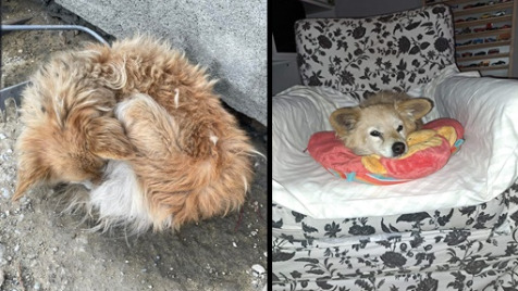 Zdjęcie aktualizacji 108 757