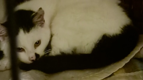 Zdjęcie aktualizacji 108 847