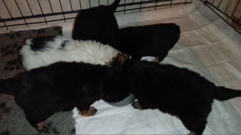 Zdjęcie aktualizacji 109 216