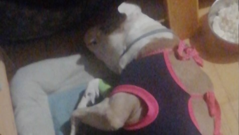 Zdjęcie aktualizacji 109 489