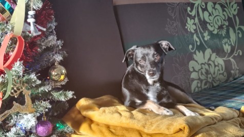 Zdjęcie aktualizacji 109 766