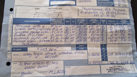Zdjęcie aktualizacji 110 491