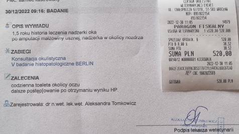 Zdjęcie aktualizacji 110 721