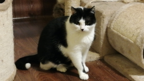 Zdjęcie aktualizacji 111 035