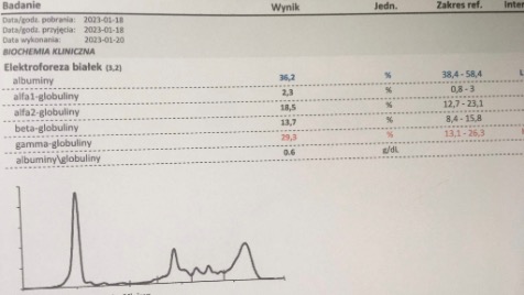 Zdjęcie aktualizacji 111 202