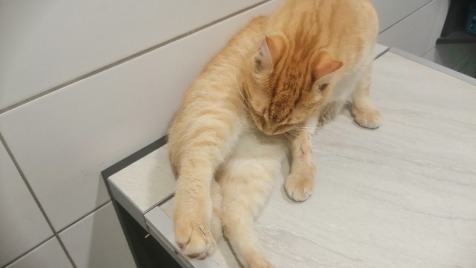 Zdjęcie aktualizacji 111 261