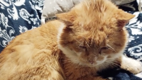 Zdjęcie aktualizacji 111 267