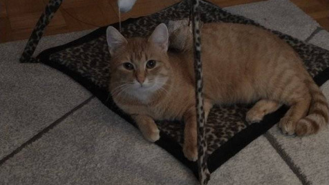 Zdjęcie aktualizacji 111 355