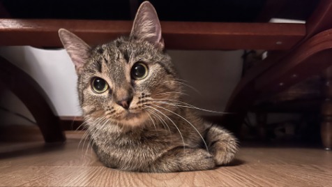 Zdjęcie aktualizacji 111 364