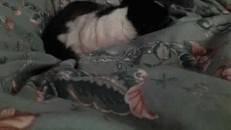 Zdjęcie aktualizacji 111 414