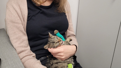 Zdjęcie aktualizacji 111 498