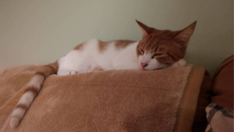 Zdjęcie aktualizacji 111 797