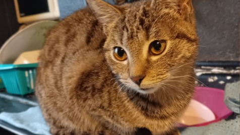 Zdjęcie aktualizacji 111 958