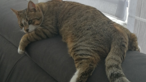 Zdjęcie aktualizacji 112 109