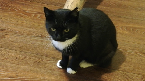 Zdjęcie aktualizacji 112 538