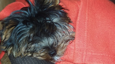 Zdjęcie aktualizacji 113 108