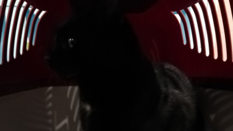 Zdjęcie aktualizacji 113 416