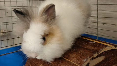 Zdjęcie aktualizacji 113 495