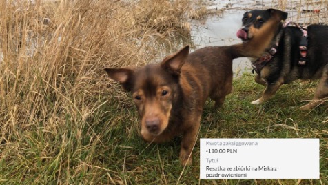 Zdjęcie aktualizacji 113 590