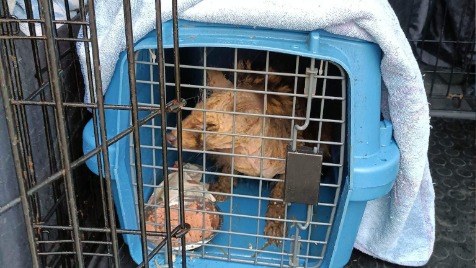 Zdjęcie aktualizacji 113 718