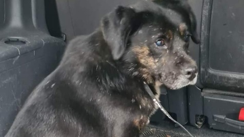 Zdjęcie aktualizacji 113 851