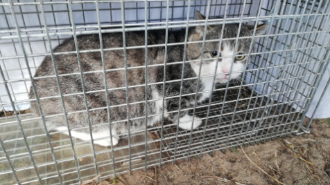 Zdjęcie aktualizacji 114 172