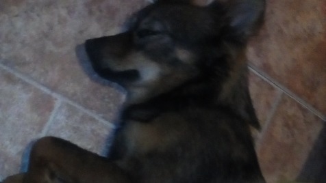 Zdjęcie aktualizacji 114 193