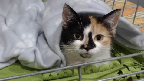 Zdjęcie aktualizacji 114 237