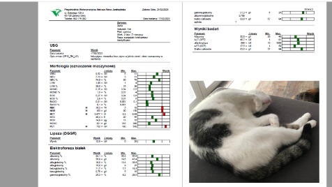 Zdjęcie aktualizacji 114 530