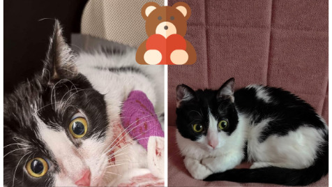 Zdjęcie aktualizacji 114 539