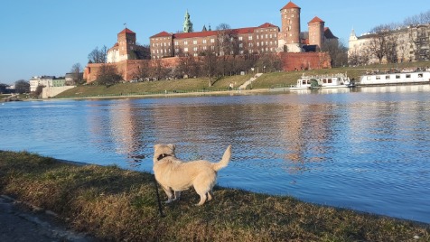 Zdjęcie aktualizacji 114 776