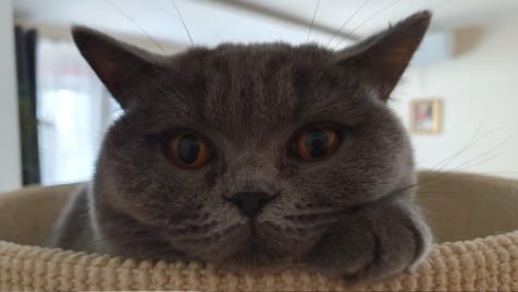 Zdjęcie aktualizacji 114 926