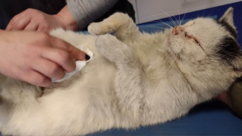 Zdjęcie aktualizacji 114 927