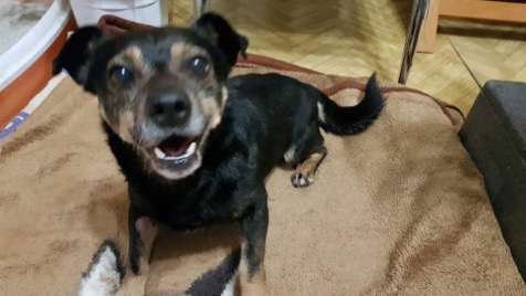 Zdjęcie aktualizacji 115 005