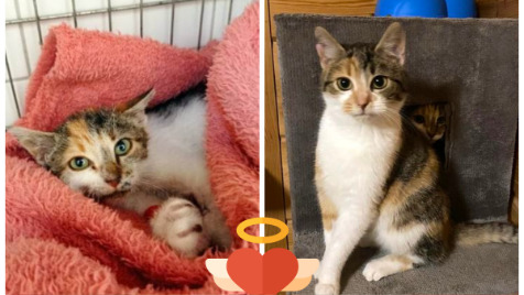 Zdjęcie aktualizacji 115 177